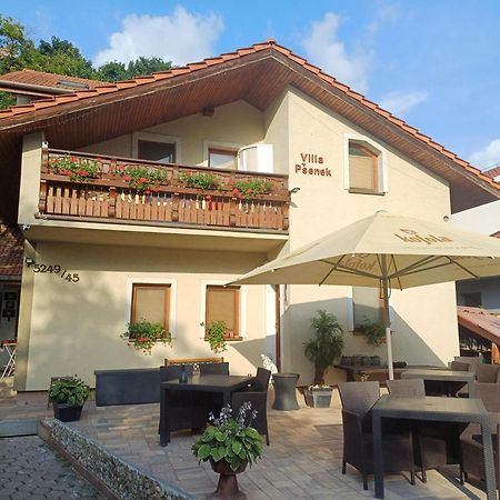 Villa Psenek Banka Dış mekan fotoğraf
