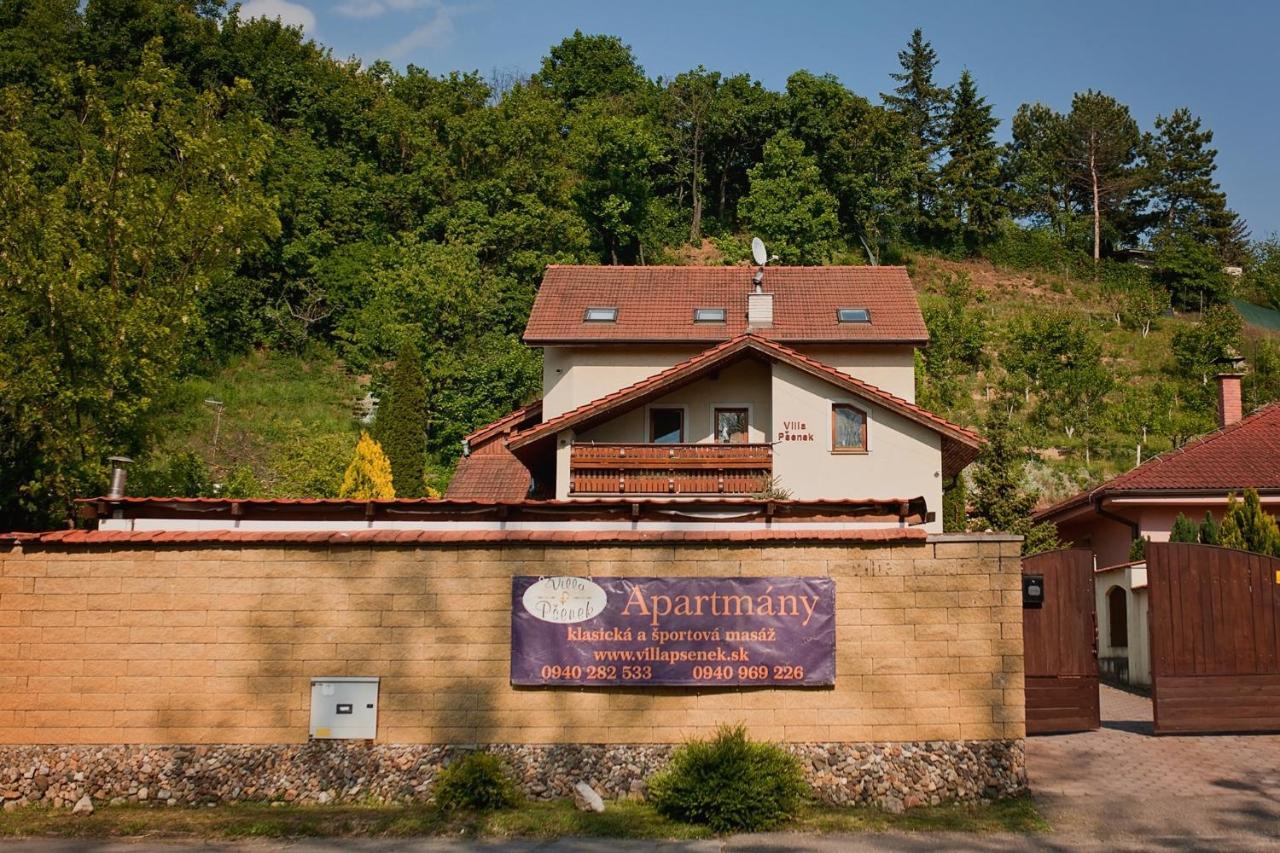 Villa Psenek Banka Dış mekan fotoğraf