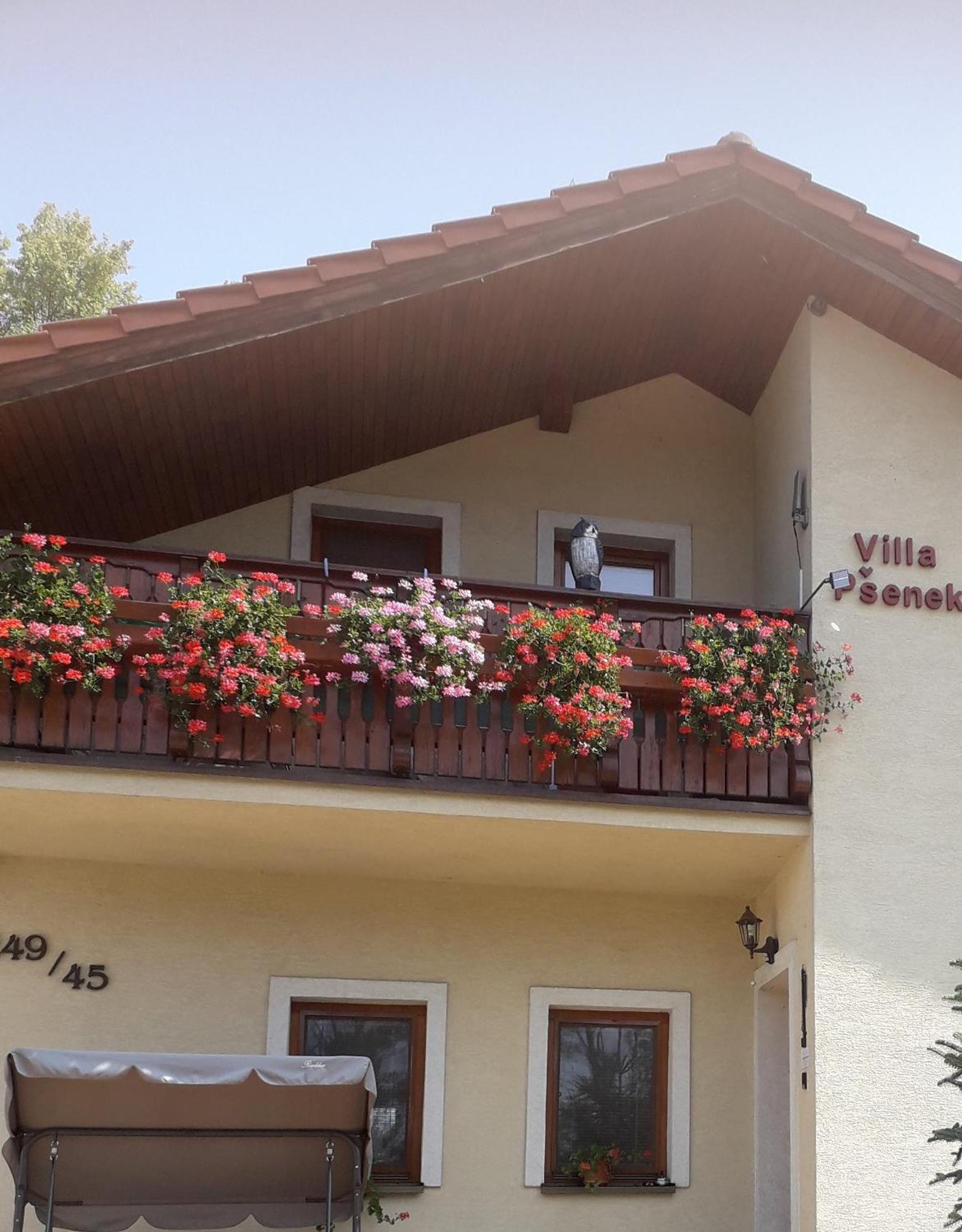 Villa Psenek Banka Dış mekan fotoğraf